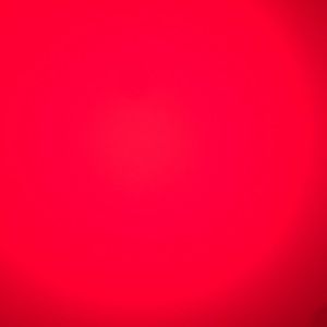 Meet your Posher, Brandale